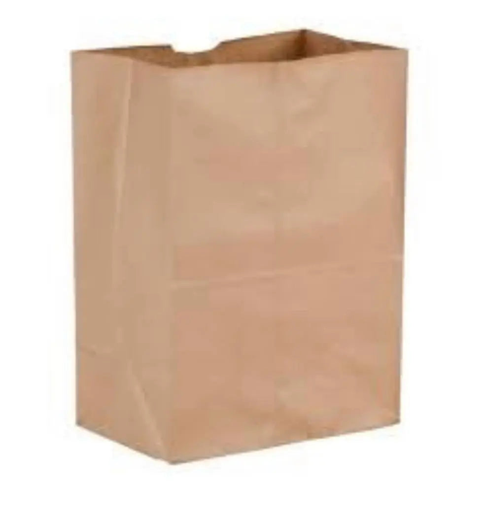 Kraft Paper Bag 536 Heavy – 9.75 × 7 × 14.75 in (250/Pack) Holca Commercials LTD