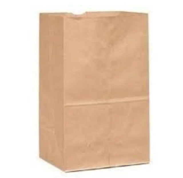 Kraft Paper Bag 535 Heavy – 9.75 × 6 × 16.75 in (250/Pack) Holca Commercials LTD